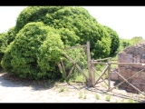 06192 ostia - regio iv - insula ix - edificio (iv,ix,3) - an der via di cartilio poplicola - bli ri suedwesten - 06-2024.jpg